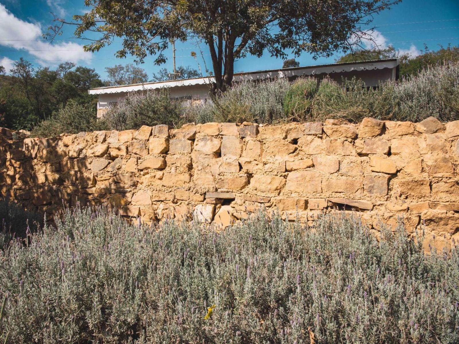 Riverbed Africa Lydenburg Bagian luar foto