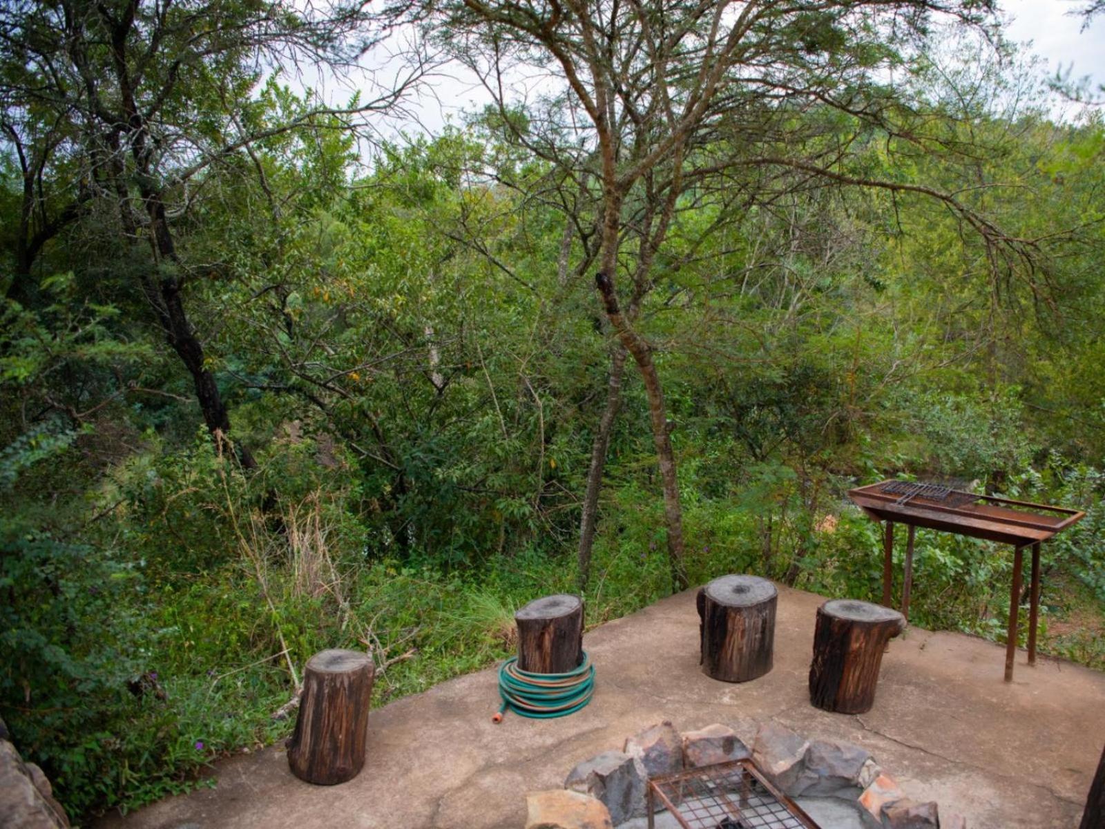 Riverbed Africa Lydenburg Ruang foto