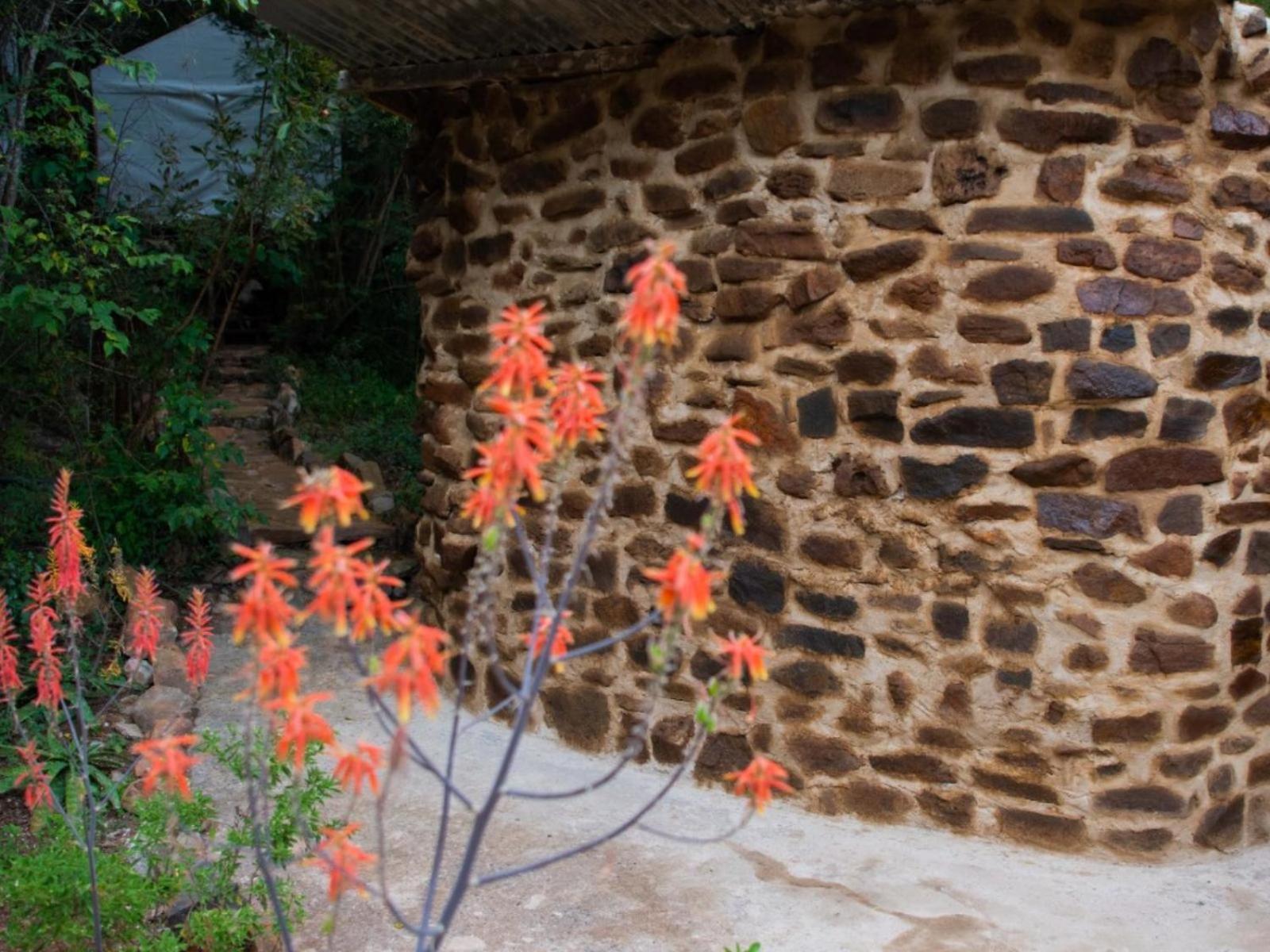 Riverbed Africa Lydenburg Bagian luar foto