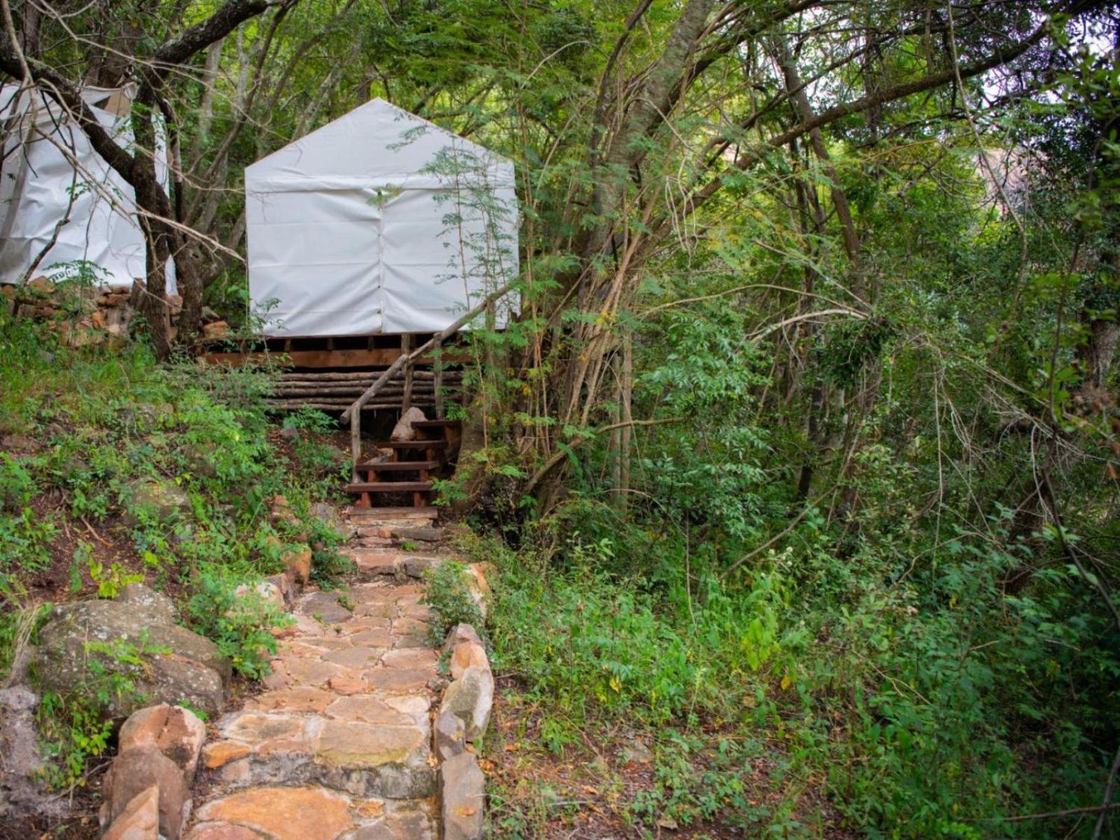 Riverbed Africa Lydenburg Ruang foto